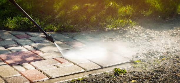 Best Animal Enclosure Cleaning  in Greenwood, MO
